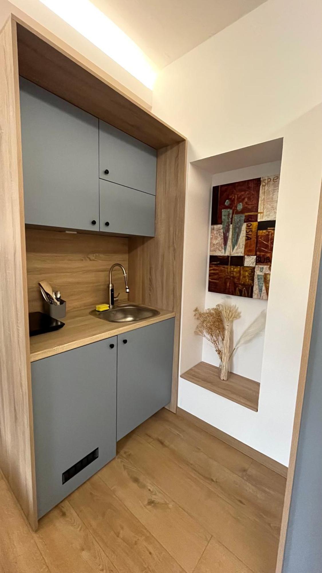 Olive Centre Apartment スコピエ エクステリア 写真