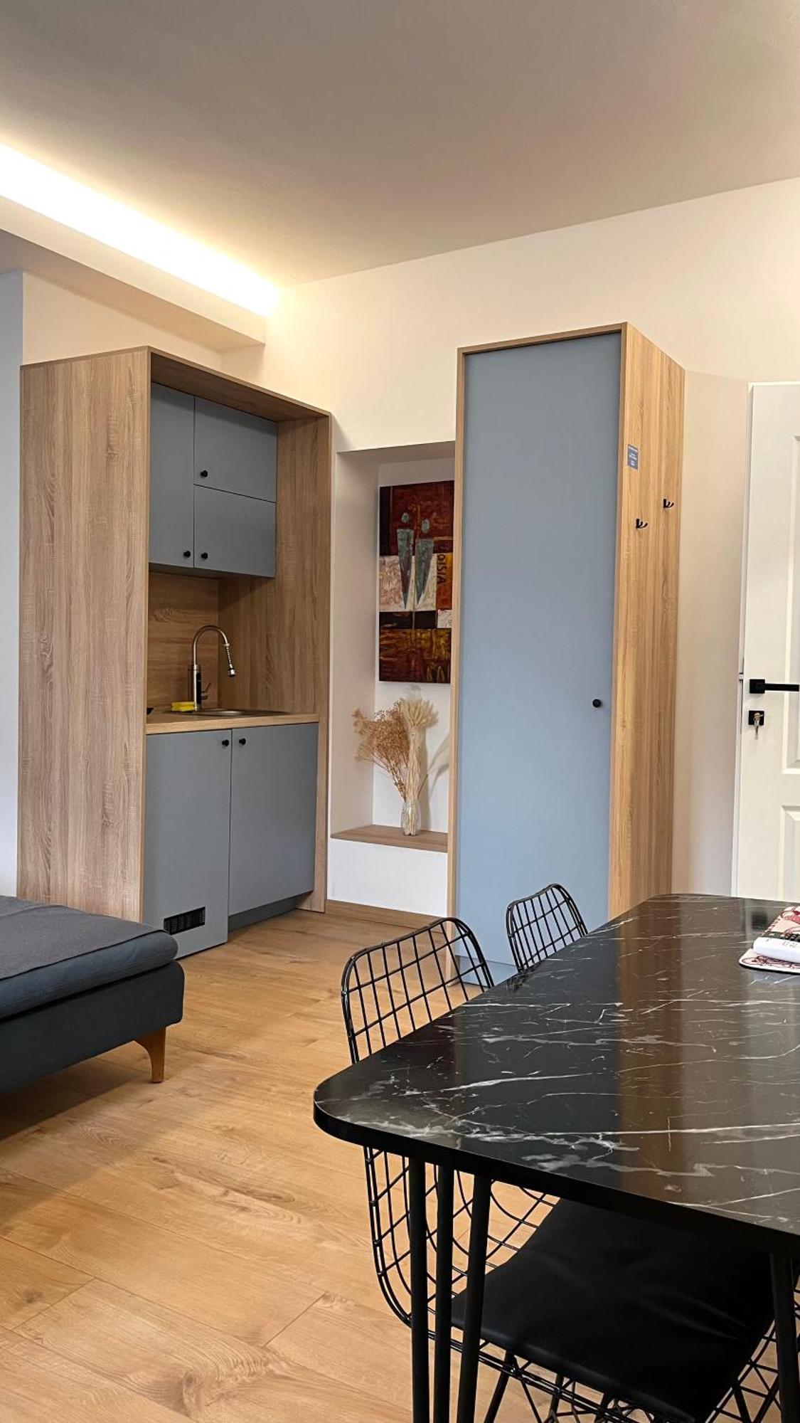 Olive Centre Apartment スコピエ エクステリア 写真